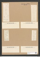 Stauroneis gracilis W.Sm. (de-Toni-Nr.: Genus 6, Species 879) Zeichnungen Sammlung Grunow Nr. 1739 (NHMW-BOT-W0368621)